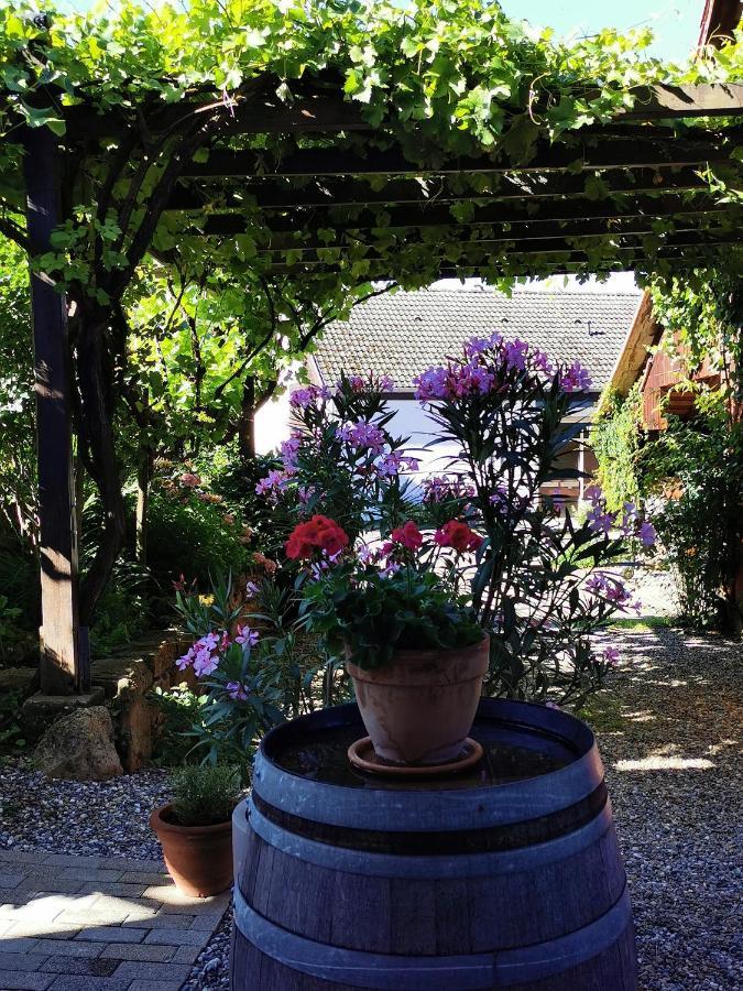 Birkental Apartment Ebringen